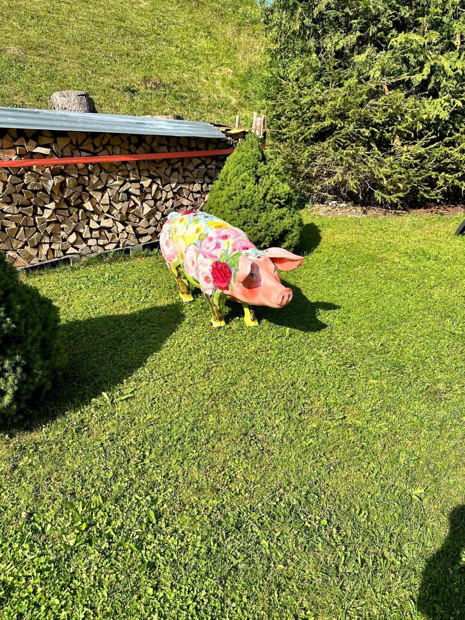 W7 Haus Ganghofer Appartement Leutasch Buitenkant foto